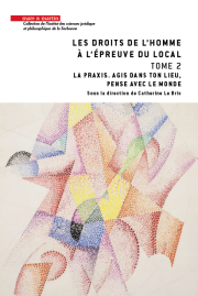 Les droits de l'Homme à l'épreuve du local Tome 2