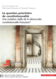 La question prioritaire de constitutionnalité