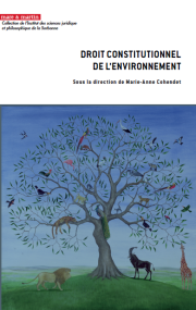 Droit constitutionnel de l'environnement