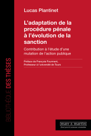 L'adaptation de la procédure pénale à l’évolution de la sanction