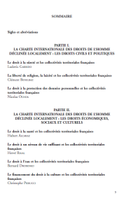 Les droits de l'Homme à l'épreuve du local Tome 2