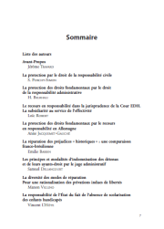 La protection des droits fondamentaux par le recours en responsabilité