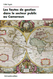 Les fautes de gestion dans le secteur public au Cameroun