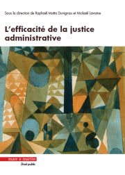 L'efficacité de la justice administrative