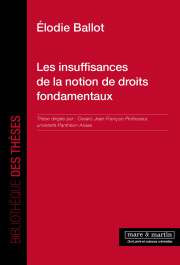 Les insuffisances de la notion de droits fondamentaux