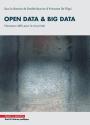 Open Data & Big Data