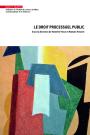 Le droit processuel public